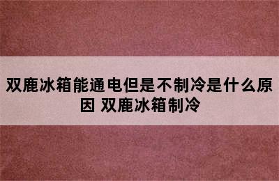 双鹿冰箱能通电但是不制冷是什么原因 双鹿冰箱制冷